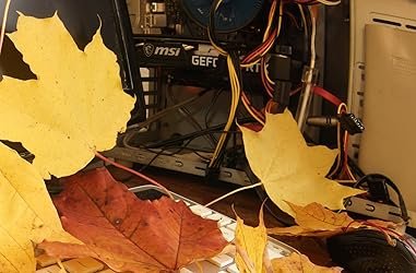 USED 2024 NVIDIA GeForce RTX 3060 Ti 2X 8G V1 LHR photo review